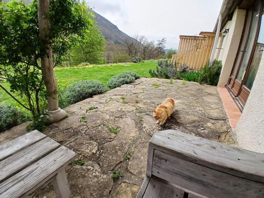 Hébergement de vacances Bright Loft With Mountain And Nature View Sougraigne