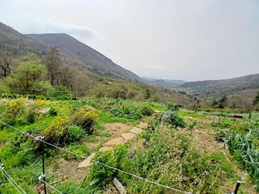 Hébergement de vacances Bright Loft With Mountain And Nature View