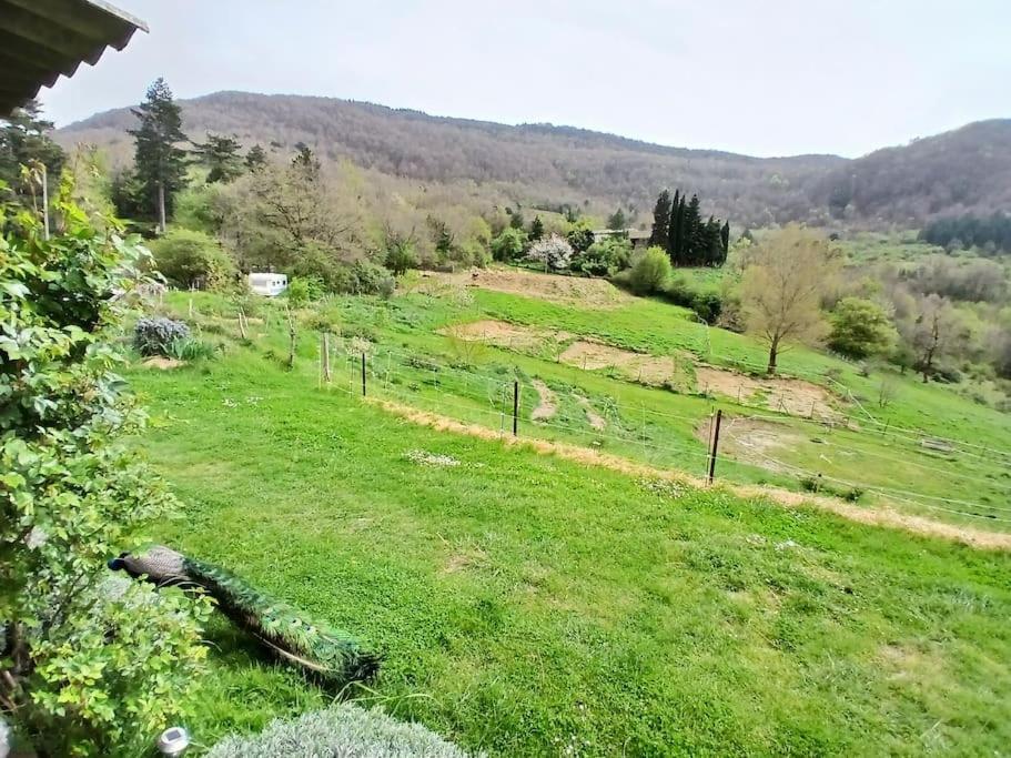 Hébergement de vacances Bright Loft With Mountain And Nature View *