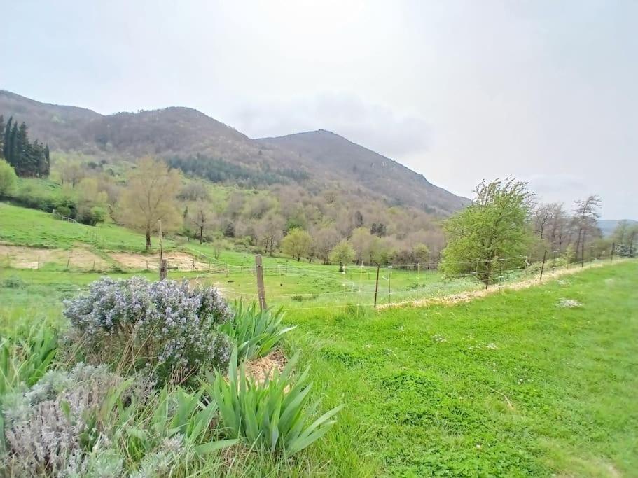 Hébergement de vacances Bright Loft With Mountain And Nature View Sougraigne