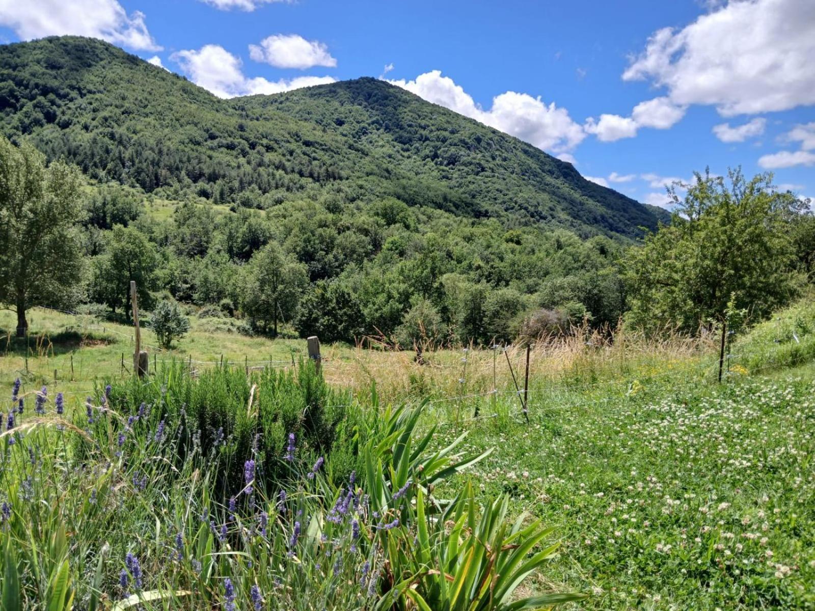 Bright Loft With Mountain And Nature View Hébergement de vacances